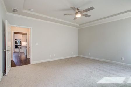 New construction Single-Family house 3 Tirian Pl, Acworth, GA 30101 - image 19