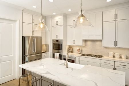 New construction Single-Family house 95191 Amelia National Pkwy, Fernandina Beach, FL 32034 plan Hamilton - image 14