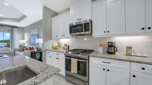 New construction Multi-Family house 10025 Hammock Brook Dr, Parrish, FL 34219 plan Tidewater 2B - image 8