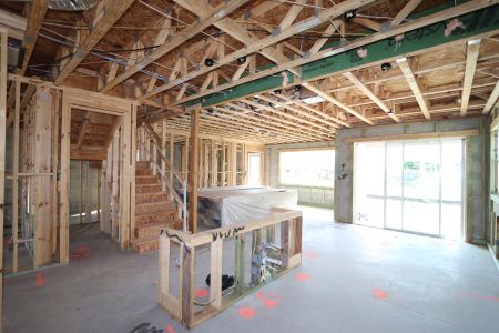 New construction Single-Family house 5707 Maydale Ave, Wesley Chapel, FL 33545 Sonoma II- photo 68 68