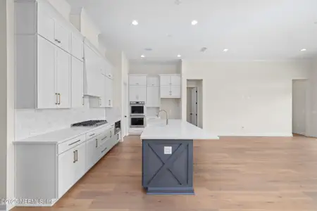 New construction Single-Family house 409 Oaklawn Ct, St. Augustine, FL 32092 plan Aurora - image 6