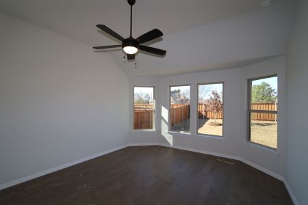 New construction Single-Family house 3713 Water Lily Way, Celina, TX 75009 Rincon - Classic Series- photo 7 7