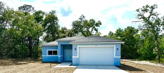 New construction Single-Family house 63 Guava Place Dr, Ocklawaha, FL 32179 - image