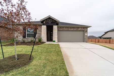New construction Single-Family house 284 Rubber Tree Wy, Buda, TX 78610 plan Creede - image