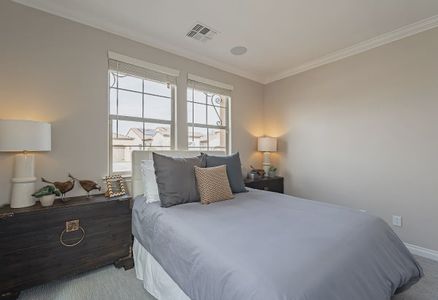 New construction Single-Family house 631 E Peach Tree St, Queen Creek, AZ 85140 Cannes Elevation B- photo 14 14
