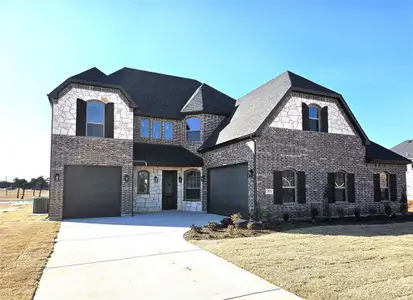 New construction Single-Family house 385 Willie'S Ct, Whitesboro, TX 76273 - image