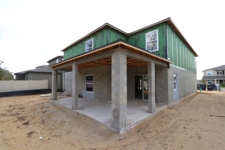 New construction Single-Family house 12134 Hilltop Farms Dr, Dade City, FL 33525 Malibu- photo 55 55