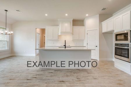 New construction Single-Family house 205 Marshall Dr, Springtown, TX 76088 plan The Iris - image 17