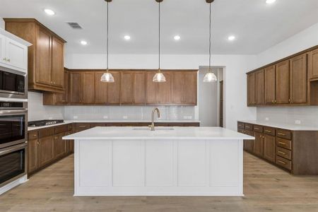 New construction Single-Family house 1007 Blue Mist Ct, Justin, TX 76247 plan Cedarwood I - image 10