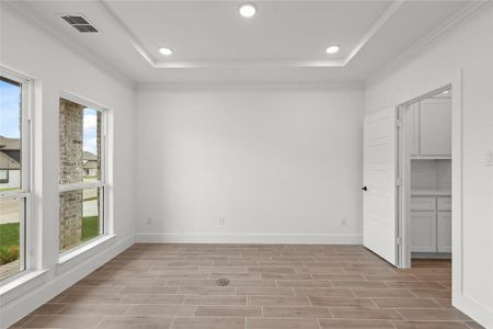 Unfurnished room with a raised ceiling, light hardwood / wood-style flooring, and plenty of natural light