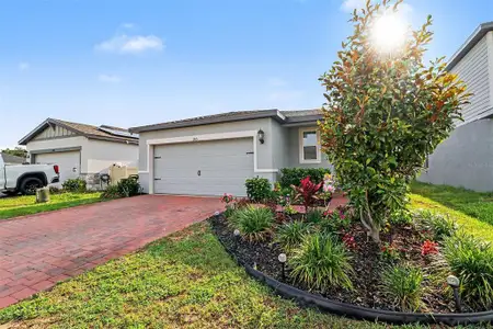 New construction Single-Family house 2105 Judith Ct, Haines City, FL 33844 plan Everglade - image