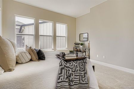 New construction Single-Family house 2011 Grayside Cir, Castle Rock, CO 80109 - image 13