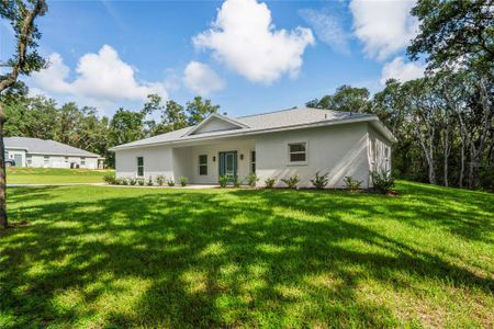 New construction Single-Family house 279 W Pearson St, Hernando, FL 34442 - image 11