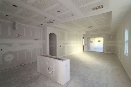 New construction Single-Family house 20339 Oriana Loop, Land O' Lakes, FL 34638 Newport II- photo 60 60