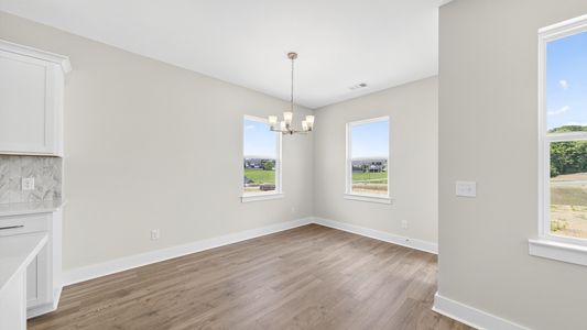 New construction Single-Family house 3915 Trinity Woods Rd, Columbia, TN 38401 plan Delta - image 17