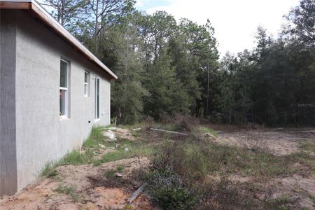 New construction Single-Family house 15004 Sw 23Rd Pl, Ocala, FL 34481 - image