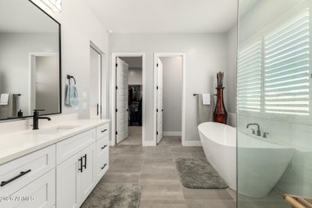 New construction Single-Family house 667 W Patrick Pl, San Tan Valley, AZ 85143 - image 17