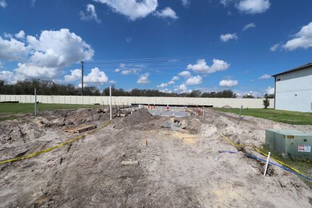 New construction Single-Family house 3023 Misty Marble Dr, Zephyrhills, FL 33540 Castellana- photo 5 5