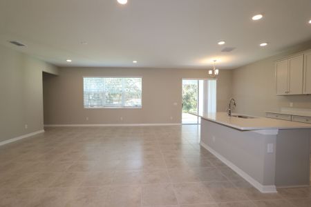 New construction Single-Family house 9603 Crescent Ray Dr, Wesley Chapel, FL 33545 Barcello Bonus- photo 100 100