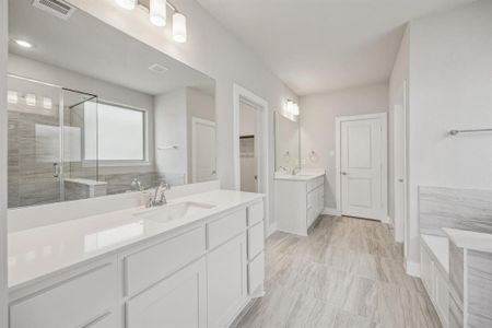 New construction Single-Family house 440 Lost Creek Trl, Waxahachie, TX 75165 - image 10