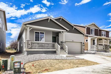 New construction Single-Family house 618 Noola St, Windsor, CO 80550 plan Silverthorne - image