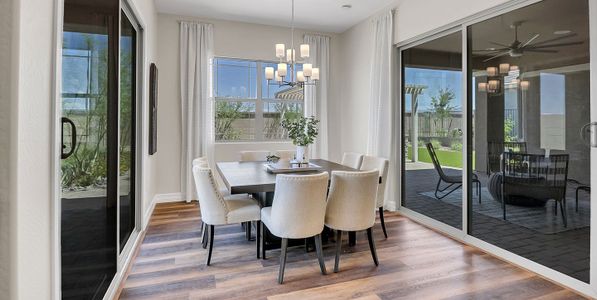 New construction Single-Family house 788 W Pelican Dr, Queen Creek, AZ 85140 plan Goldfinch - image 9