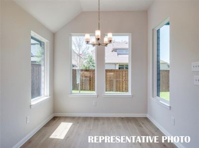 New construction Single-Family house 16525 Boston Ivy Dr, Fort Worth, TX 76247 plan 4102 - image 12