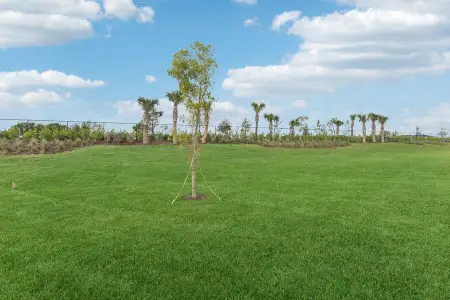 New construction Single-Family house 10323 Dreamweaver Rd, Unit 23, Port St. Lucie, FL 34987 Spring Lake IV- photo 35 35