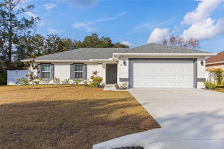 New construction Single-Family house 10 Rale Pl, Palm Coast, FL 32164 - image