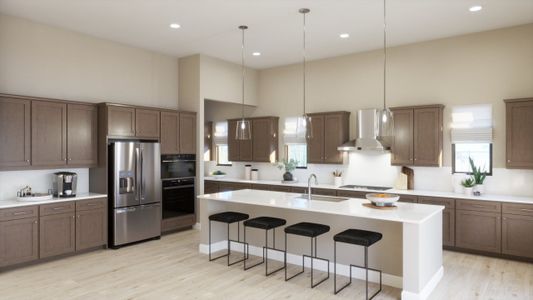 New construction Single-Family house Gold Canyon, AZ 85118 plan 1021 - image 9