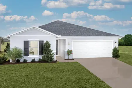 New construction Single-Family house 20195 Azul Marble Lp, Land O' Lakes, FL 34638 - image