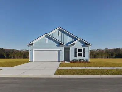 New construction Single-Family house 3056 Macaron Ct, Ravenel, SC 29470 - image