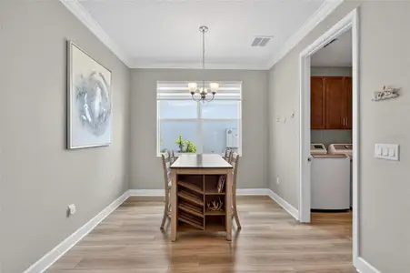 New construction Single-Family house 5961 Blakeney Lp, Apollo Beach, FL 33572 - image 4