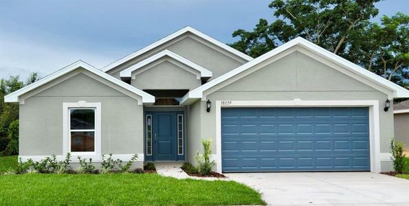 New construction Single-Family house 13203 Ogden Glade Road, Dade City, FL 33525 - photo 0