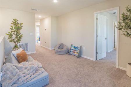 New construction Single-Family house 34284 Verbena St, Wesley Chapel, FL 33545 - image 10