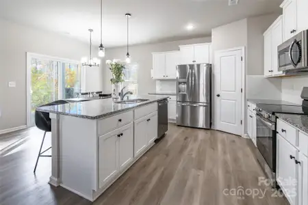 New construction Single-Family house 3228 Mcgee Hill Dr, Charlotte, NC 28216 - image 6