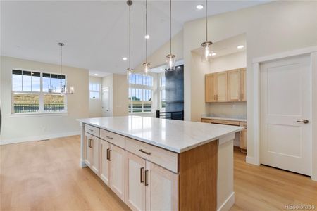 New construction Single-Family house 14278 Currant St, Broomfield, CO 80021 plan Alameda - image 10