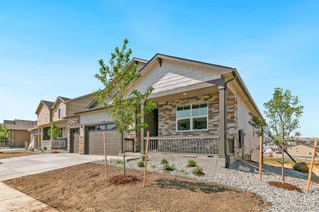 New construction Single-Family house 15957 Syracuse St, Thornton, CO 80602 The Chatham- photo 2 2