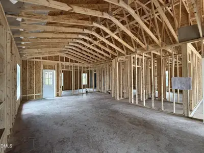 New construction Single-Family house 1775 Walnut Run Dr, Deep Run, NC 28525 - image