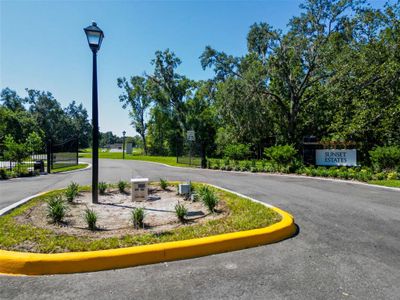 New construction Single-Family house 18460 Purple Creek Ln, Lutz, FL 33549 plan Briarwood - image 18