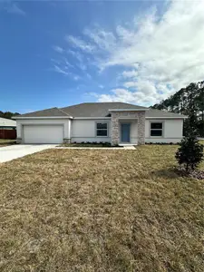 New construction Single-Family house 2 Wilson Pl, Palm Coast, FL 32164 plan Delray - image