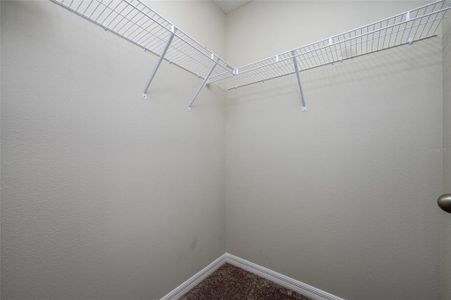 New construction Single-Family house 34200 Scarlet Sage Ct, Wesley Chapel, FL 33545 plan Turquesa - image 15