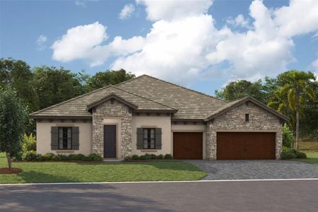 New construction Single-Family house 10711 Spring Sapling Cir, Parrish, FL 34219 - image