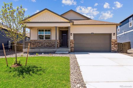 New construction Single-Family house 4979 Buelingo Drive, Windsor, CO 80528 - photo 0