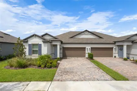 New construction Single-Family house 9819 Campanula Ct, Land O' Lakes, FL 34637 - image