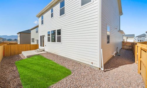 New construction Single-Family house 11843 Lost Peak Ln, Colorado Springs, CO 80925 plan Ash - image 19
