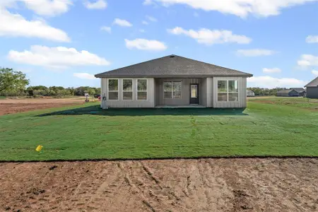 New construction Single-Family house 221 Jimmy Ln, Millsap, TX 76066 - image