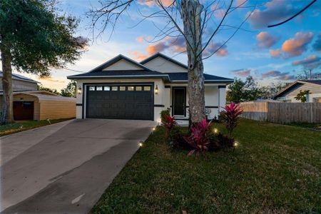 New construction Single-Family house 12706 N Ola Ave, Tampa, FL 33612 null- photo 30 30