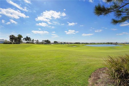 New construction Single-Family house 16435 Umbria Pl, Bradenton, FL 34211 Pallazio- photo 65 65