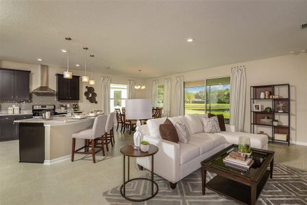 New construction Single-Family house 19709 Fort King Run, Brooksville, FL 34601 - image 8